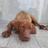 Fényképes hűtőmágnes